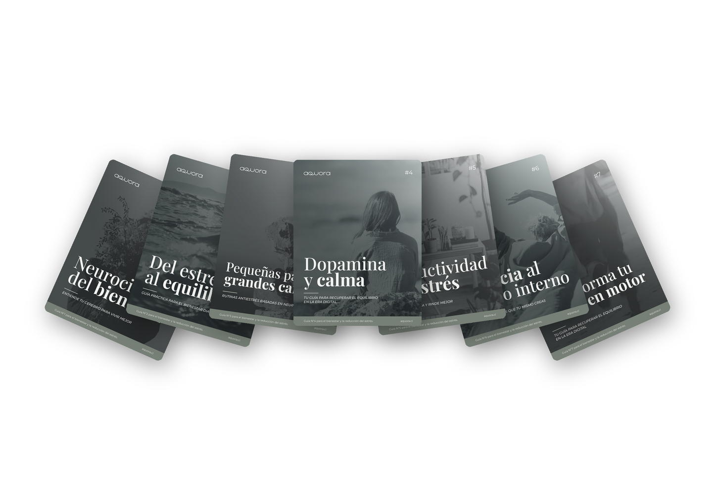 La Colección Aquora completa