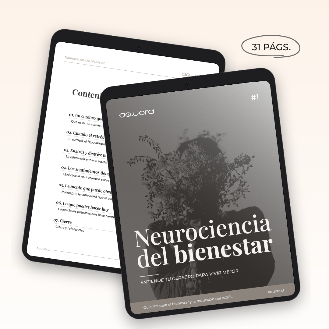 La Colección Aquora completa