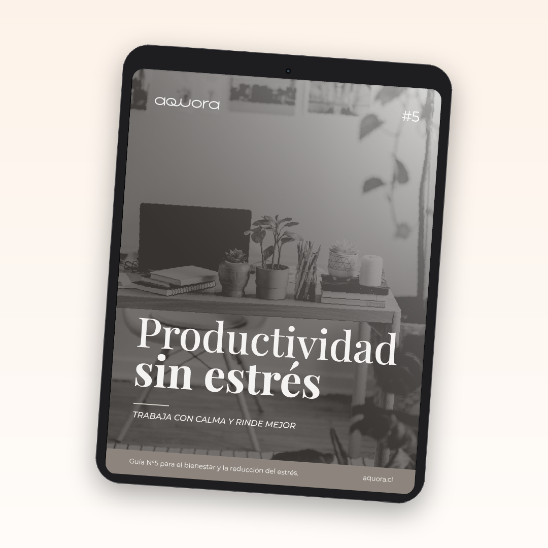 #5 Productividad sin estrés
